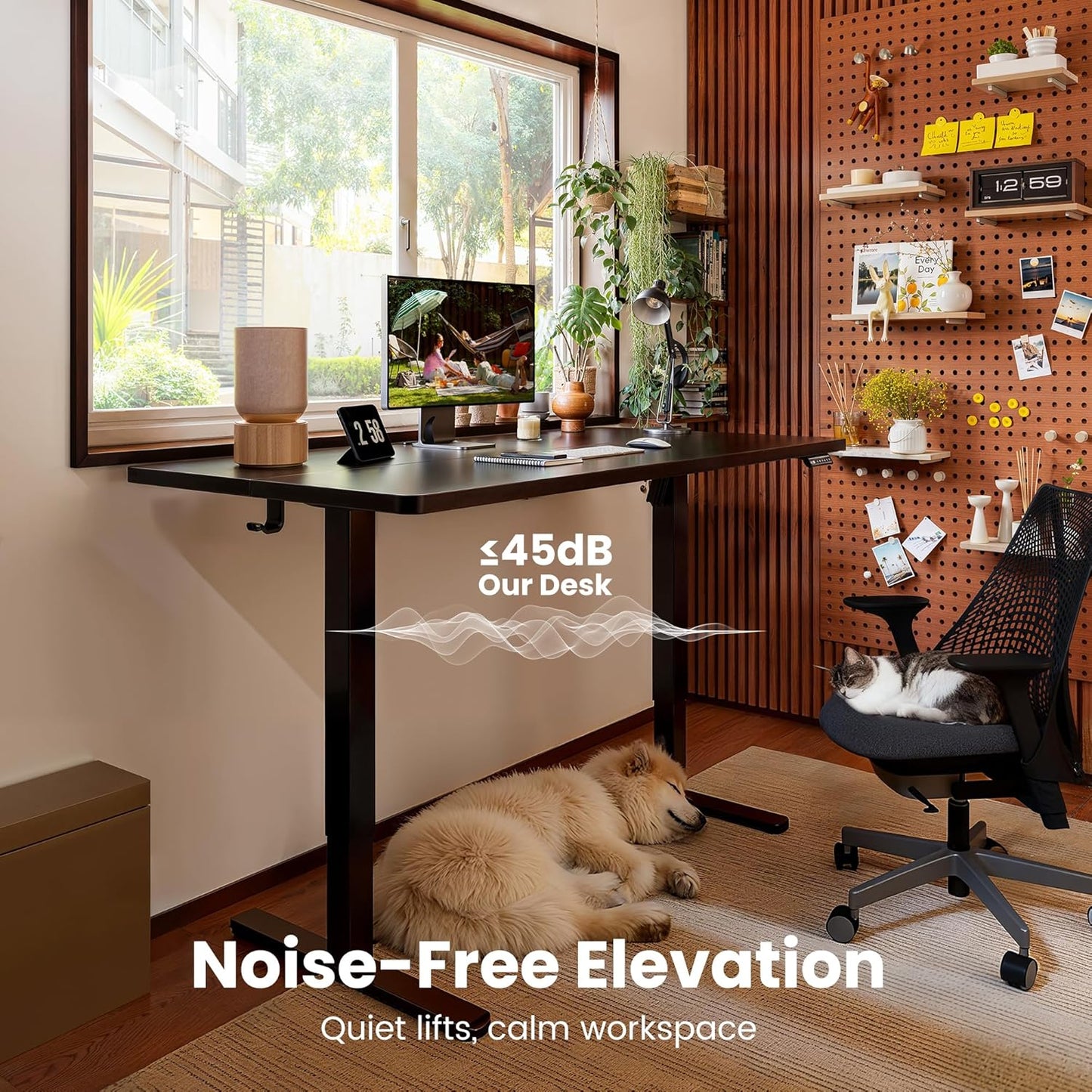 Height Adjustable Electric Standing Desk, 47.2 X 23.6 Inches Sit Stand up Desk, Memory Computer Home Office Desk with Two-Piece Desktop (Black)